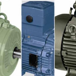 W21 series multi voltage motor